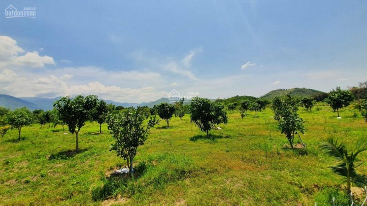 Bán đất view sông Diên Đồng giá 500 ngàn/m2, đường ô tô, sát nhiều farm đẹp - LH: 0967805989