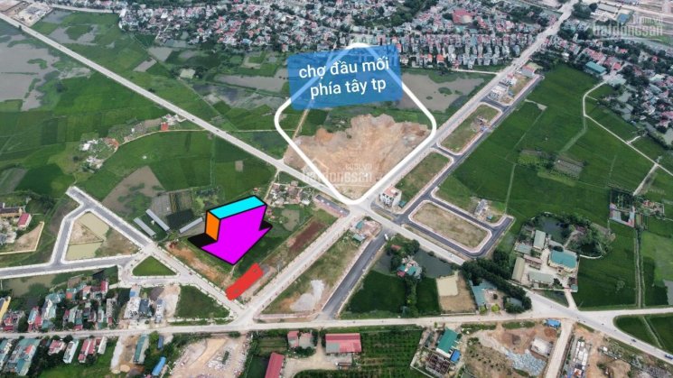 Cần tiền bán lô đất siêu đẹp 100m, ngay ngã 5 trung tâm thị trấn Rừng Thông, cạnh ngay TP Thanh Hoá