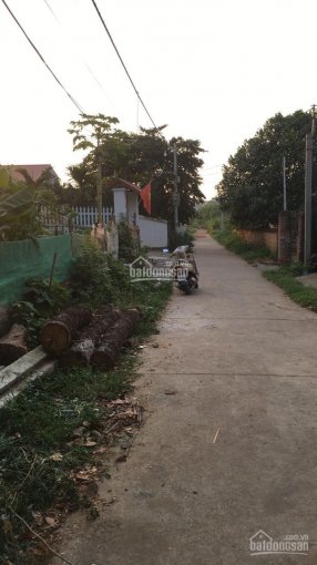 Bán nhanh lô đất đẹp gần trường cấp 2 tại Kim Sơn, Sơn Tây giá hơn 1.xx tỷ