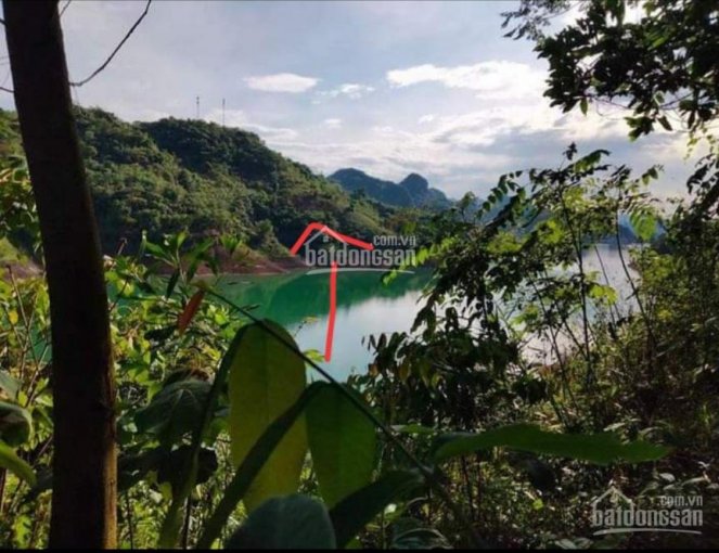 Bán đảo làm dự án nghỉ dưỡng tuyệt đẹp tại Đà Bắc diện tích 5ha toàn bộ đất rừng bám hồ Hòa Bình