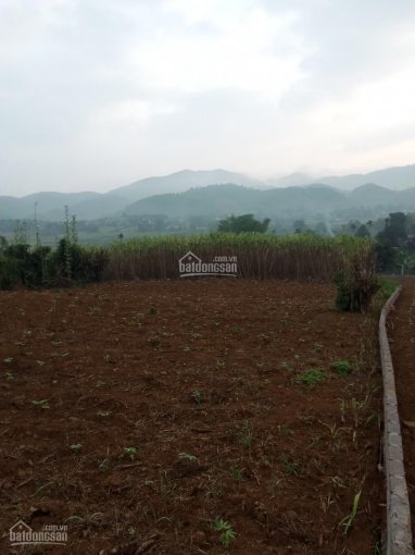 Bán đất Cao Phong, Hoà Bình gần 2000m2 thổ cư và vườn giá chỉ 340,000đ/m2