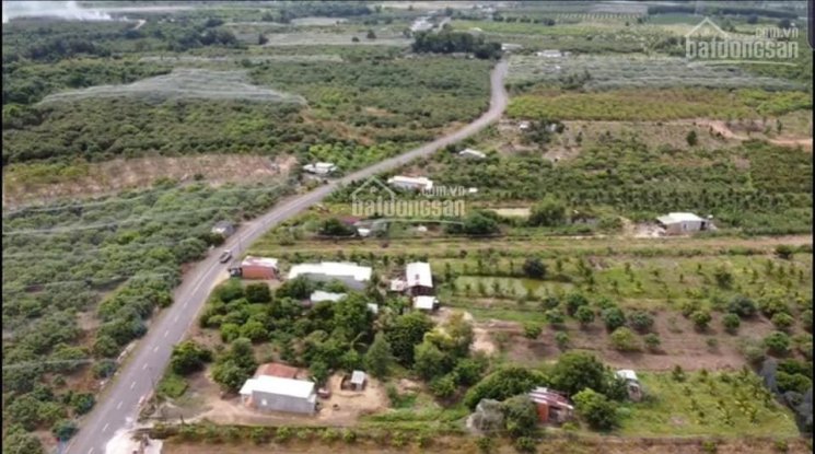 Cần bán đất vườn xã Bình Châu, mặt tiền đường liên xã 12m, sau suối khoáng nóng