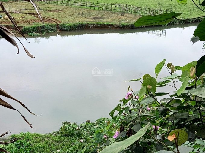 Bán đất lô đất tại xã Hợp Châu, Lương Sơn, Hòa Bình, đất cao, bám suối to. LH: 0988681666