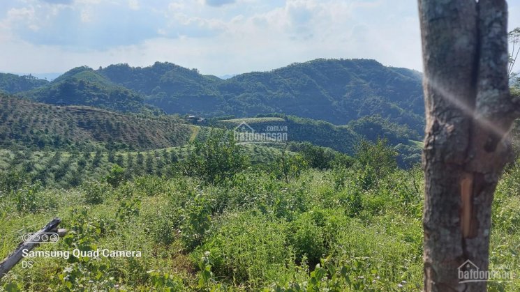 Bán 10ha đất RSX tại Yên Lập, Cao Phong thế đất thoải view thoáng sổ đỏ đầy đủ pháp lý rõ ràng