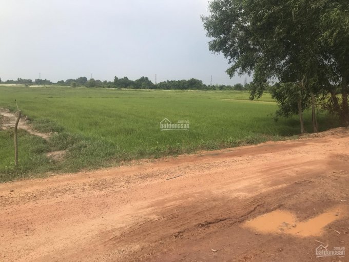 Bán lô đất đẹp giá rẻ mặt tiền đường xe container Nguyễn Thị My, Xã Trung An, Củ Chi