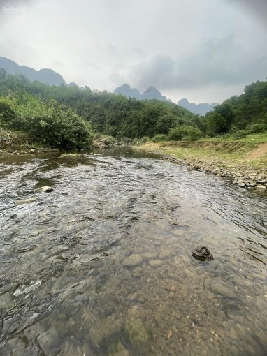 Chính chủ bán đất Kim Bôi, Hoà Bình non nước