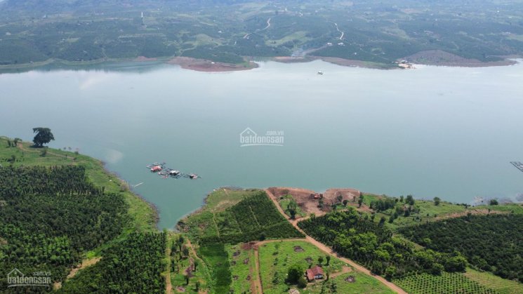 6000m2 view sông Đồng Nai. 200m2 thổ cư, đường ô tô tới đất