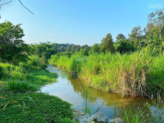 Bán 2.800m2 đất Đông Thanh có suối cuối đất sẵn 400 m2 thổ cư, cách chợ Đà Lạt 25 km giá chỉ 2.5 tỷ