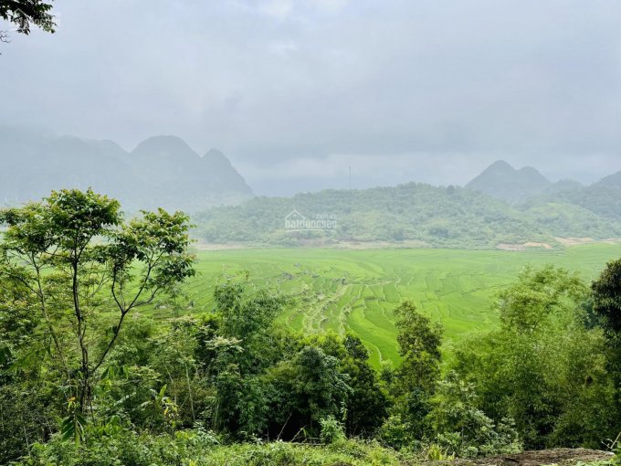 Bán đất trung tâm Bản Đôn, Pù Luông, Bá Thước, Thanh Hóa. LH CC Chị Bắc 0981896789