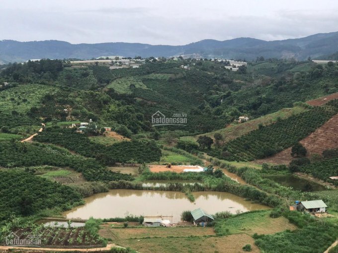 Bán hơn 4 sào đất trồng cây lâu năm thôn 3, xã Mê Linh, Huyện Lâm Hà, Lâm Đồng