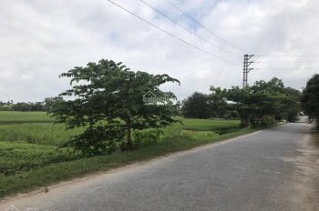 Bán đất phân lô thôn Ngọc Quế, xã Quỳnh Hoa, huyện Quỳnh Phụ, Thái Bình