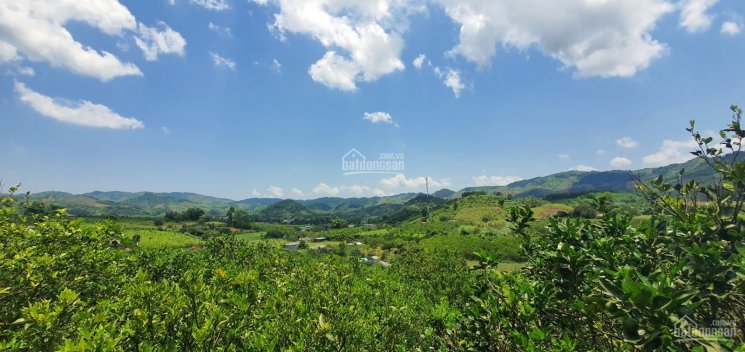 Bán nhanh 2.782m2 full đất thổ cư giá chỉ với 1.3 tỷ tại Cao Phong, Hoà Bình