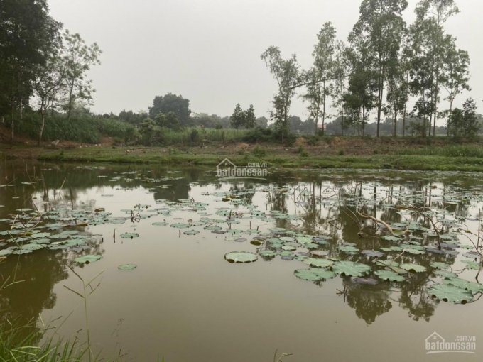 Bán lô đất bám hồ sen S1362m2 có 100m2 đất ở tại Kim Sơn, Sơn Tây, Hà Nội, giá 2.7tr/m2