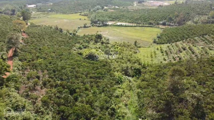 15000m2 thác suối quanh vườn. Siêu view view ruộng và thác suối 160m mặt tiền đường đất