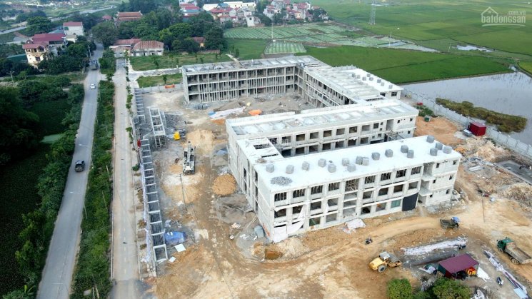 Bán đất đấu giá lô góc 2 mặt tiền 5m, 17m, cách 2 trường học 50m, đường đôi 24m, Sài Sơn, Quốc Oai