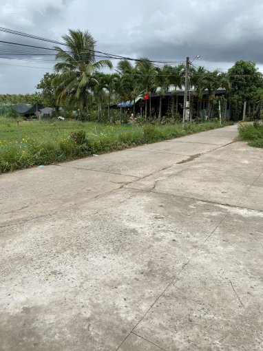 Bán 924m2 cách 12B 20m, Thạnh Nhựt, Gò Công Tây
