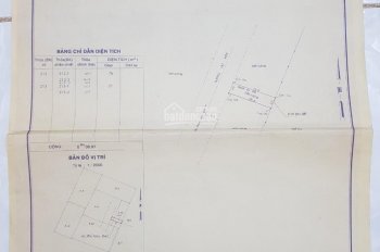 Bán đất diện tích 5mx20m khu dân cư Hoàng Hải chợ Bà Điểm, Hóc Môn, TPHCM, đường 12m