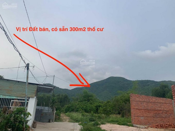 Bán 8513m2 đất giá chỉ 1,3 tỷ/sào đường số 17, xã Tân Hưng, Tp. Bà Rịa