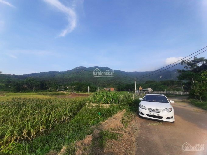 Cần bán lô đất 1365m2 view đẹp giá siêu giảm mùa dịch cách TL87 1.5km. LH: 0976771496