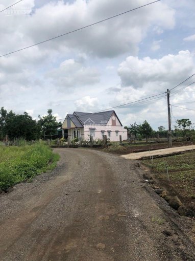 Chính chủ bán nhanh 1 sào đất ngay khu dân cư, giá cực rẻ