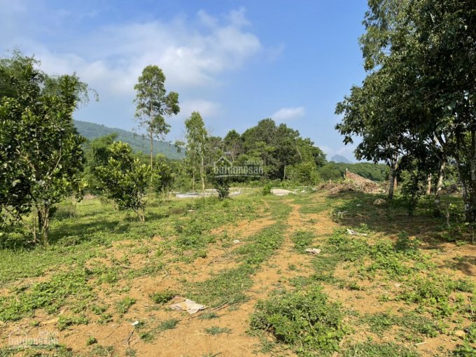 Chính chủ cần bán 4700m2 đất nghỉ dưỡng, nhà vườn cực đẹp tại Cư Yên, Lương Sơn, Hòa Bình