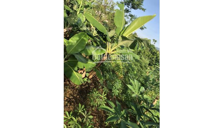 Bán đất Cao Phong, siêu phẩm 4000m2 hiếm có khó tìm giá hạt rẻ