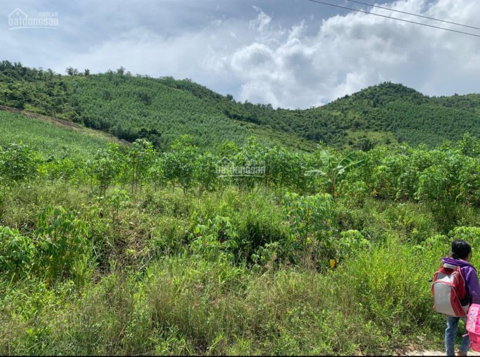 Chính chủ cần bán đất view đẹp tại Xã Ninh Tây, thị xã Ninh Hoà, tỉnh Khánh Hoà