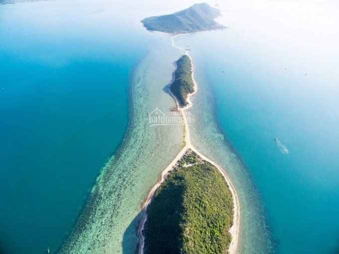 Chính chủ bán đất đảo Điệp Sơn, đảo du lịch hot nhất vịnh Vân Phong