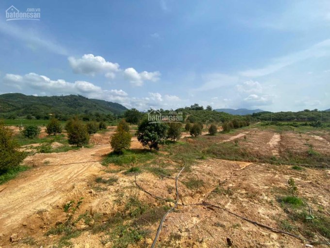 Bán đất vườn Thôn 2 xã Quốc Oai, huyện Đạ Tẻh, tỉnh Lâm Đồng