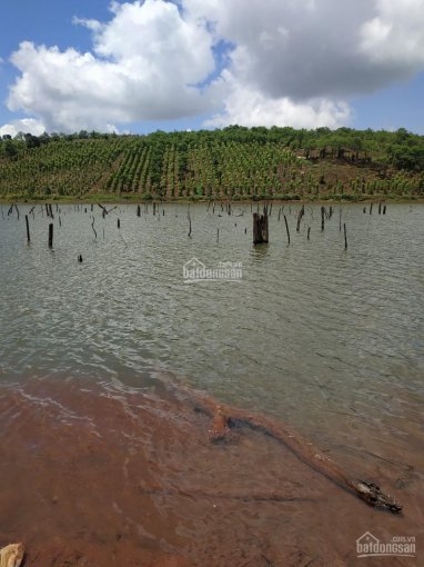 3.7 ha có 300m giáp hồ lớn, đường bê tông, nở hậu giá chỉ 3.2 tỷ, nguồn thu tốt