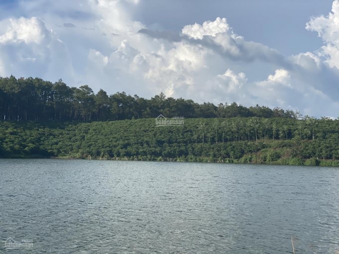 Ngay Bảo Lộc - khu biệt thự hồ có thổ cư chỉ còn 2 nền, sẵn sổ hồng 0919 174 279 (sổ hồng riêng)