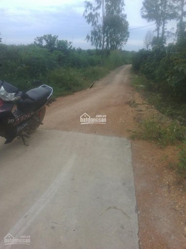 Bán đất nông nghiệp tại Xã Ea Pô, Cư Jút, Daknong, LH 0988630948