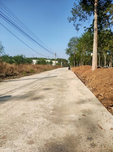 Bán đất Chơn Thành, Bình Phước trong bán kính 0,5km đầy đủ tiện ích dân cư 5x45m 100m2TC, chỉ 8xxtr
