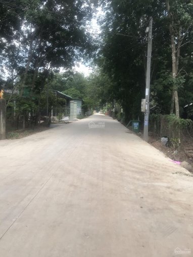 Bán đất thị trấn Tân Long Phú Giáo
