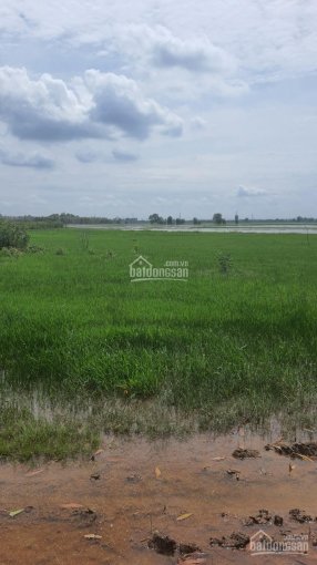 Cần tiền bán gấp 2 công đất Xã Thái Mỹ, Huyện Củ Chi