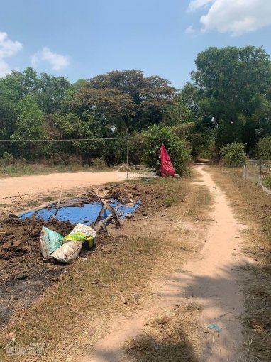 Chính chủ bán đất trồng cây (có 400m2 thổ cư) tại Tiên Thuận, Bến Cầu, Tây Ninh