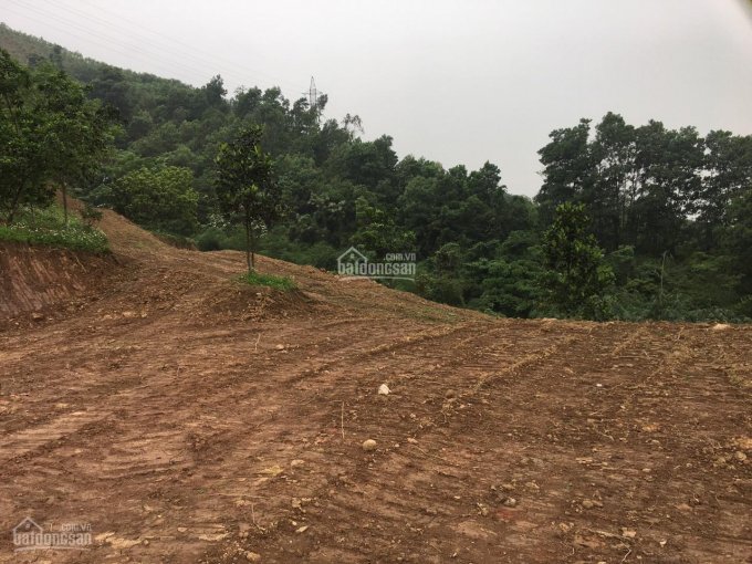 Cần bán 26000m2 (2,6ha) đất làm nhà vườn nghỉ dưỡng giá đầu tư tại Liên Sơn, Lương Sơn, Hòa Bình