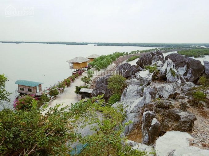 Bán đất Tân Thành Cành Chẽ, xóm Máng, xã Hoàng Tân, cạnh khu phức hợp dự án Hạ Long Xanh