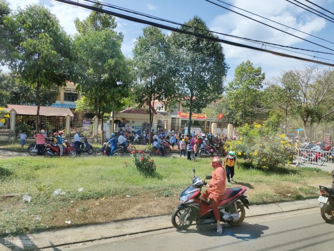 Giỏ hàng chủ đầu tư đất nền lớn sổ đỏ cạnh KCN Định Quán  mặt tiền giáp đường nhà nước