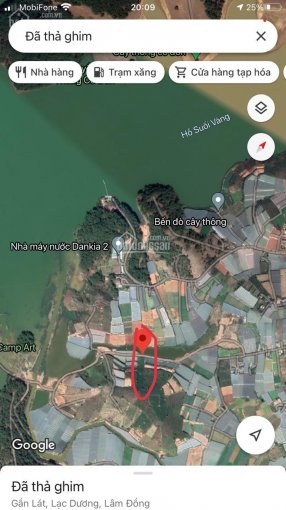 Gia đình cần bán gấp 464m2 đất SHR thị trấn Lạc Dương mặt tiền đường Nguyễn Thị Thi LH 0943.559.175