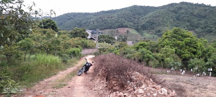Bán rẻ lô đất 3000m2 tại Mường Sang - Mộc Châu có gần 400m2 thổ cư mùa Covid