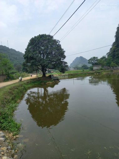 Bán nhanh 1323m2 có 400 m2 đất ở Tân Vinh, Lương Sơn, Hòa Bình view ao thoáng mát, giá rẻ