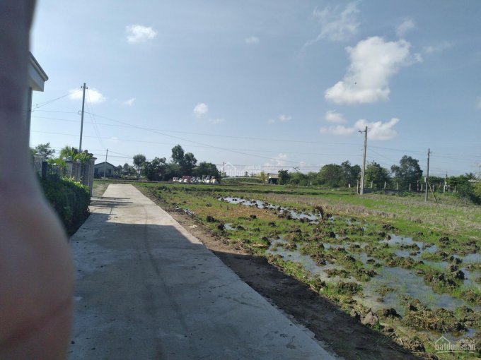 Bán gấp đất lúa mặt tiền đường bê tông ấp Tân Chánh - Xã Tân Tập - Huyện Cần Giuộc - Tỉnh Long An