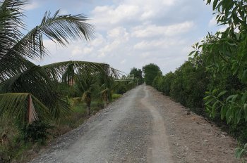 Đất khóm chuẩn bị cho trái xã Thạnh Mỹ, Tân Phước, Tiền Giang