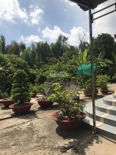 Bán mảnh vườn ngay khu du lịch cồn Thới Sơn, mặt tiền HL 94C ngang 70m dài 80m có căn nhà cấp 4