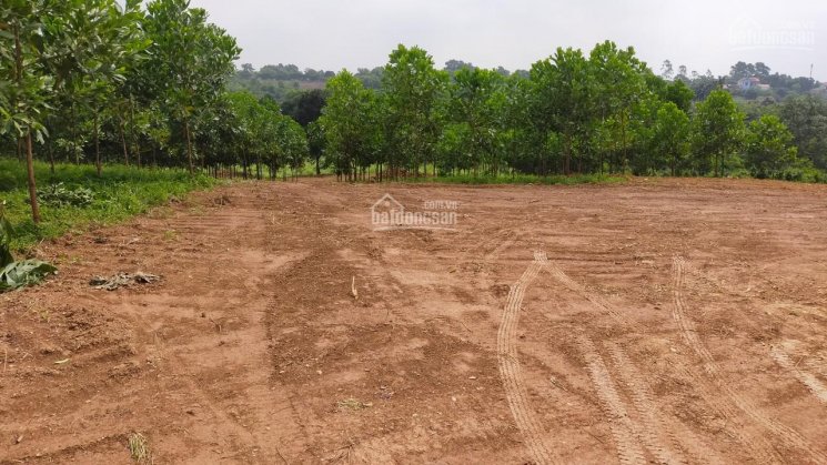 Cần bán 5000m2 đất nghỉ dưỡng cực đẹp tại Liên Sơn, Lương Sơn, Hòa Bình
