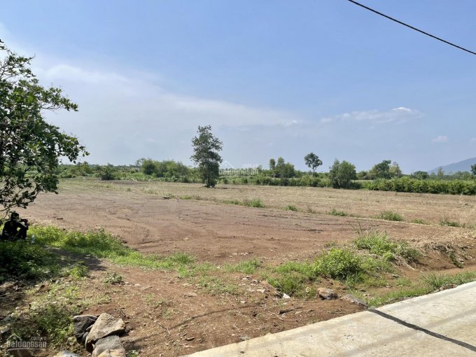 D042 - Bán đất có S: 7990m2, đẹp, bằng phẳng có 2 mặt tiền dài 160m tại Xuân Bảo, Cẩm Mỹ, Đồng Nai