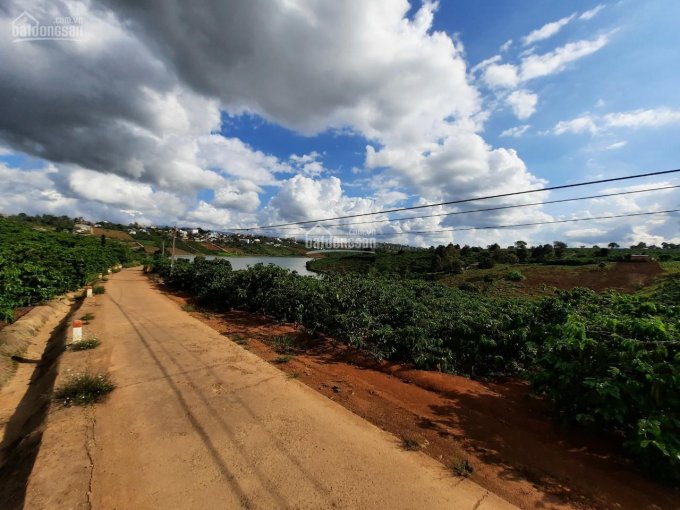 Bán lô đất view hồ Đông Di Linh, 624m2, 24m mặt tiền đường bê tông, 200m2 thổ cư