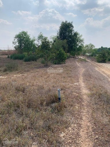 Bán lô đất thổ cư DT 146m2. Đất nền phân lô mặt tiền QL 22, Xuyên Á - Bến Cầu, giá 800 triệu