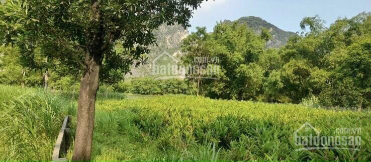 Đất bám hồ Đồng Sương - Chương Mỹ - Hà Nội